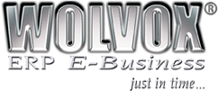 Wolvox erp e-business