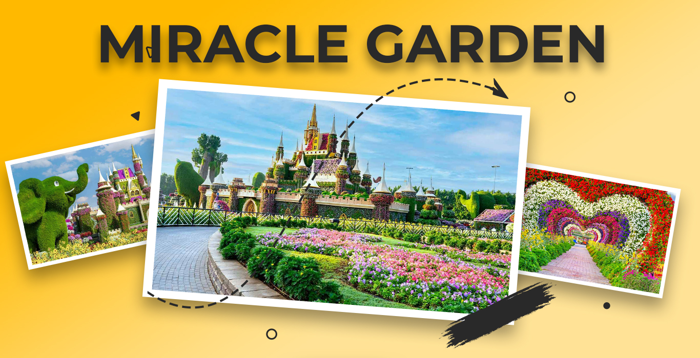 MİRACLE-GARDEN