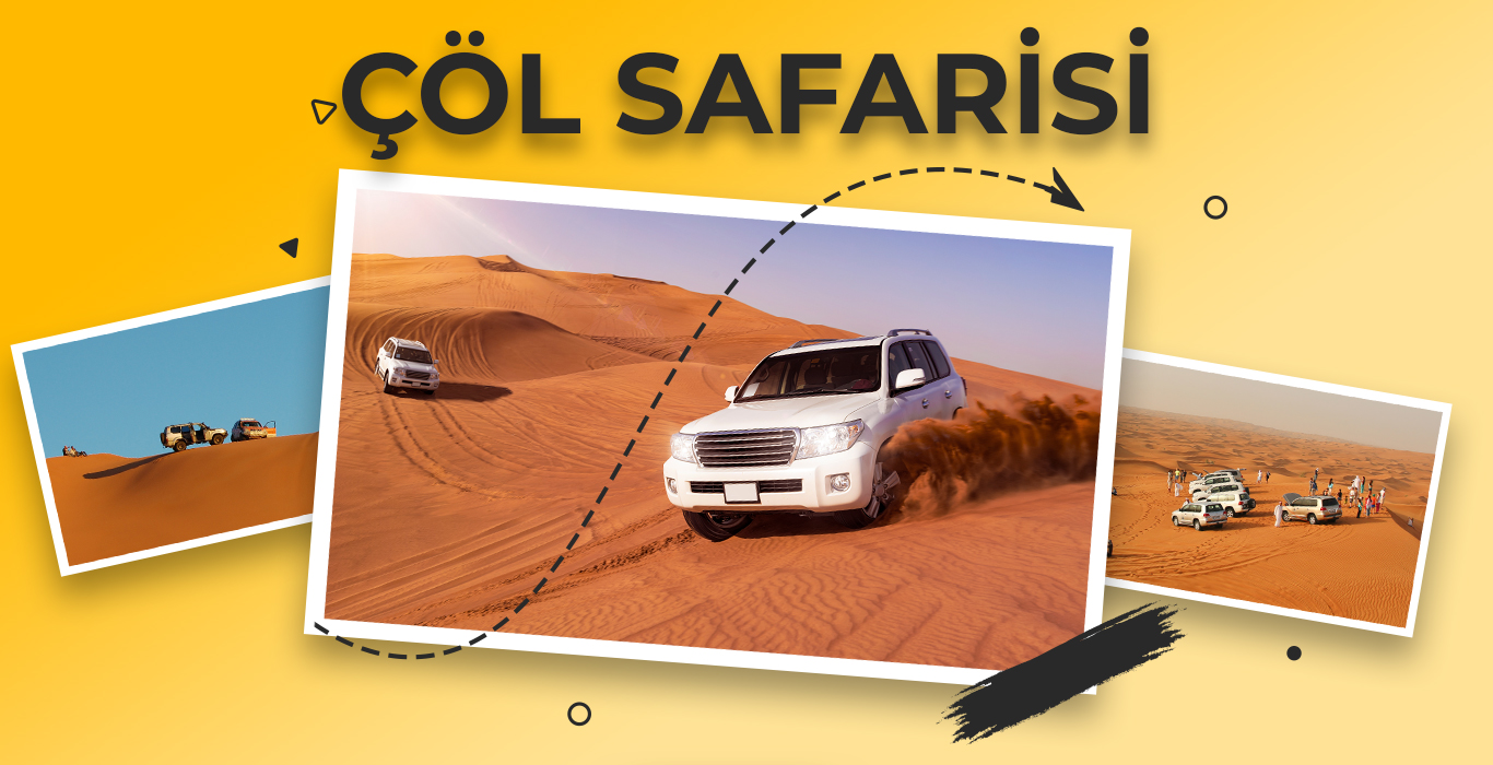 safari