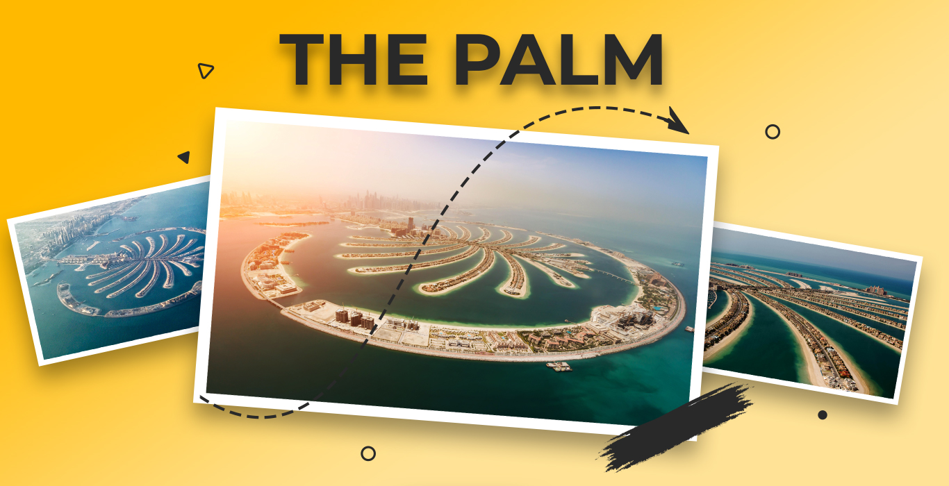 the-palm