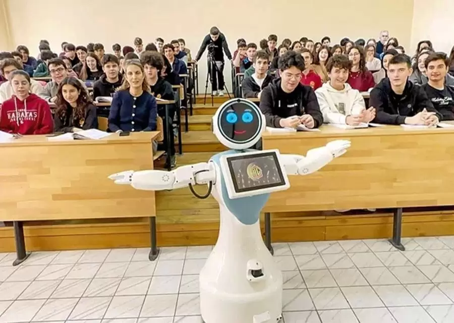 Mini Ada Ulusal Basında