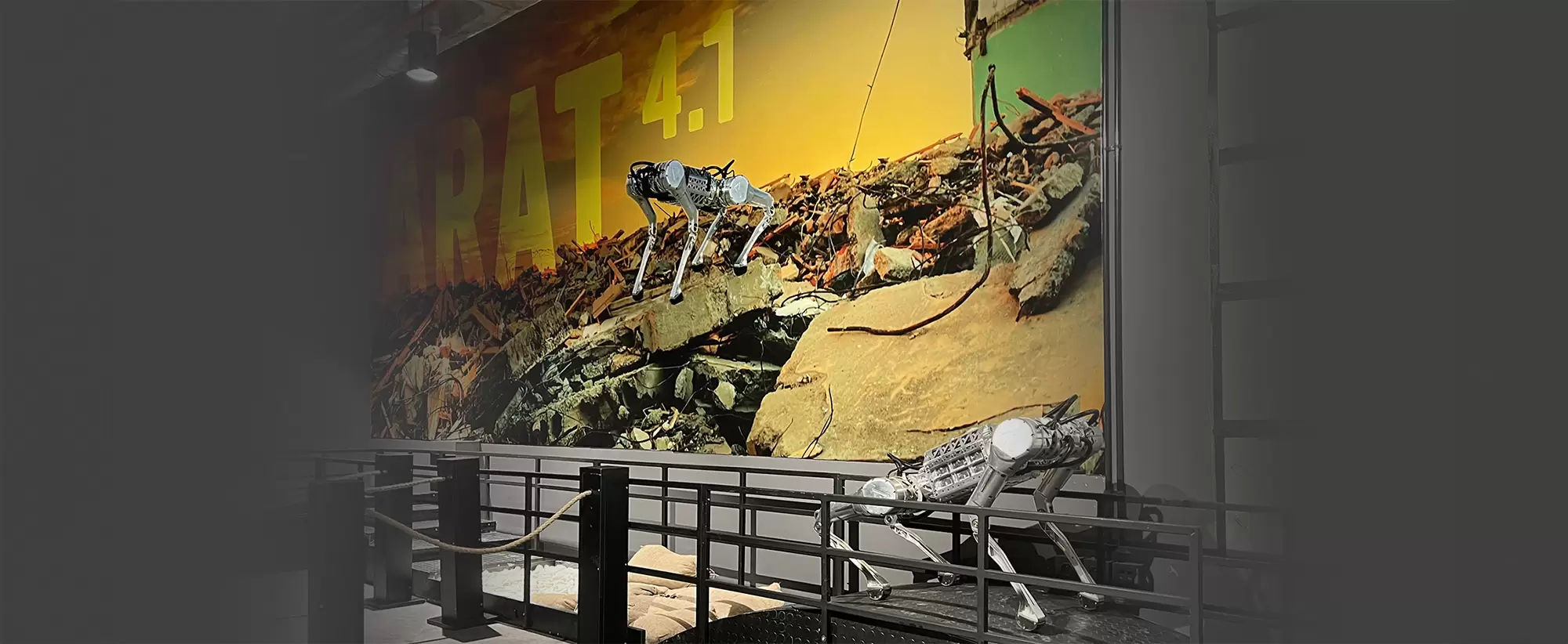 You Will Admire Arat’s Talents