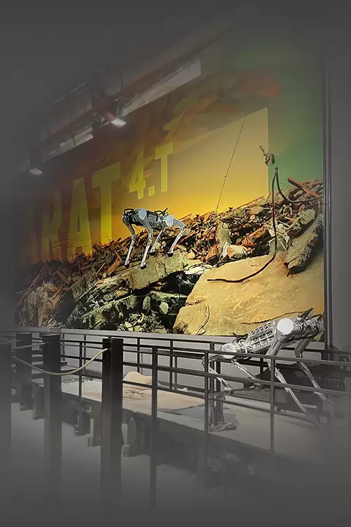 Mobil - You Will Admire Arat’s Talents