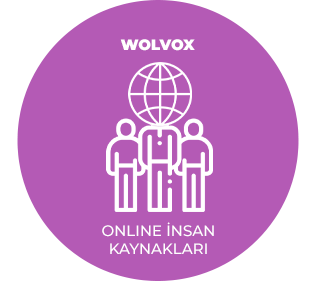 AKINSOFT Wolvox Online IK