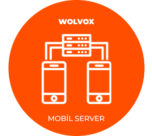 AKINSOFT Wolvox Mobil Satış (Server)